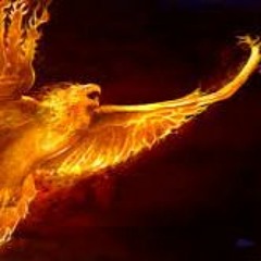 Trip for the fallen to rise up