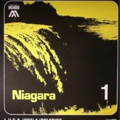 Polysick Niagara (Afghanistan Version)