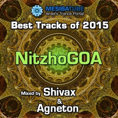 Mesibatube's Best tracks Of 2015 - NitzhoGOA mixed by Shivax and Agneton