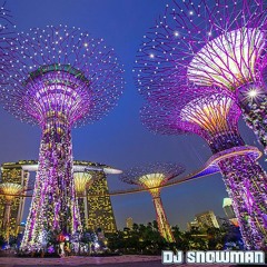 DJ Snowman - New Year Edition 2015 / 2016