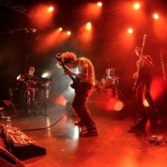 The Toad Elevating Moment - Back To Me