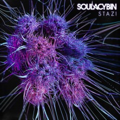 Soulacybin - Four/Five