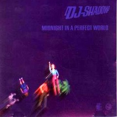 Dj Shadow - Midnight In A Perfect World -   Leygo Remix