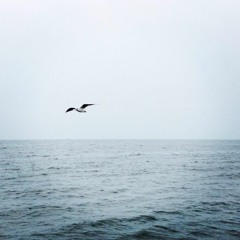 陈鸿宇 - 理想三旬