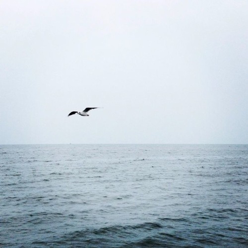 陈鸿宇 - 理想三旬