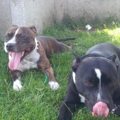 Dj KairosZen - La Constellation/Heltah Skeltah/The Fab5/Droogz Brigade/Lord Lhus Remixtape