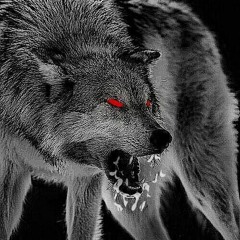 ***INSOMNIO POR TI***