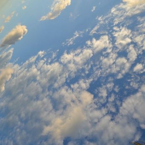January (FREE DOWNLOAD)