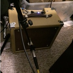 P2 Amplification P2 - C Demo