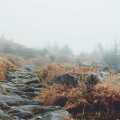 #003. Morninglow