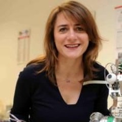 Intervista a Cecilia Laschi, ricercatrice della Scuola superiore Sant'Anna di Pisa (il polpo-robot)