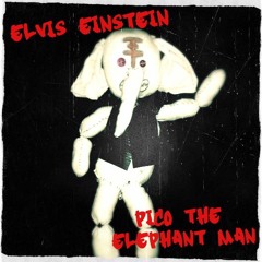 Elvis Einstein - Pico The Elephant Man (FREE DOWNLOAD!!!)