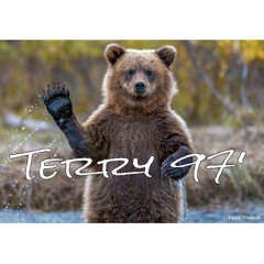 Terry 97