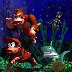 David Wise - Donkey Kong Country / Aquatic Ambiance [SwitchCutter Refix]