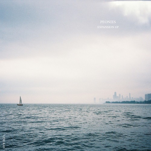 A1. Summer Night // Peonies