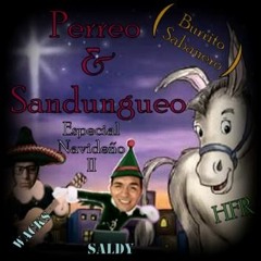 Perreo & Sandungueo (Burrito Sabanero) - Wacks Ft. Saldy (Prod. by Heavy Flow Records)