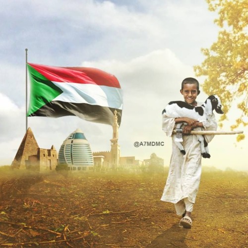 سوداني الجوة وجداني بريدو