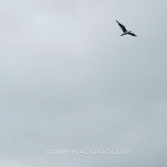 Dtirp & plácidalocura - No puedo estar bien