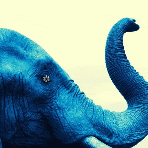 ElephantCore