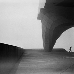 Marselan - Avenir Inconnu