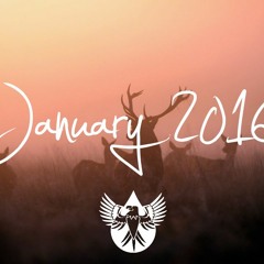 Indie/Pop/Folk January 2016
