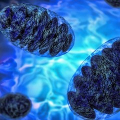 心が全ての鍵を握っている Follow your heart（intro)