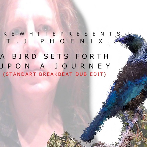 A Bird Sets Forth (StanDart Breakbeat Dub Edit)