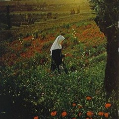 مَا نسينَا - ميْس شَلش