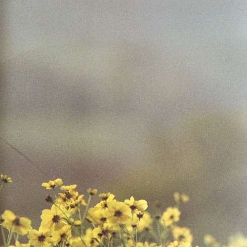 Nvr Let u go.