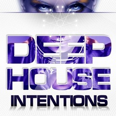 BKSR - House Intentions Volume 1