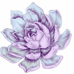 Manifestation and Gratitude
