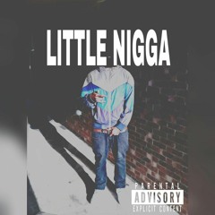 Little Nigga