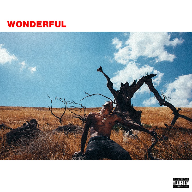 Wonderful Ft.The Weeknd