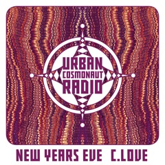 UCR New Years Eve by C.Love (Le Chemin De L'Hiver)