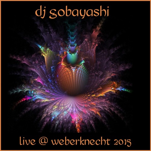 Dj Gobayashi @ WEBERKNECHT 2015 Psychedelic New Year Live Mix