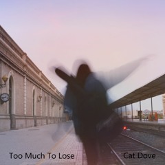 Too Much to Lose