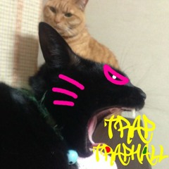 Trap/Traphall/Moombahton