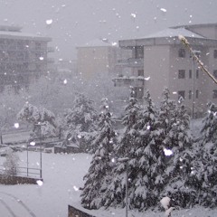 Neve