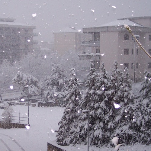 Neve