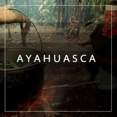 Ritual [Ayahuasca]