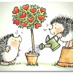 سوزان عطية مستغربين