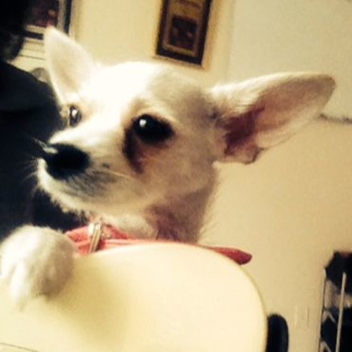 Crushin' On Ya Album Trax