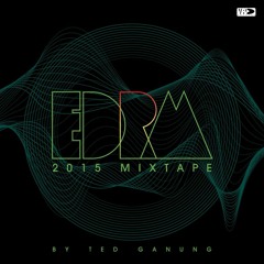 EDRM 2015 Mixtape | By Ted Ganung