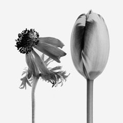 J&C January Playlist