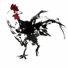 새벽닭