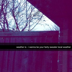 i wanna be your fairly sweater local weather