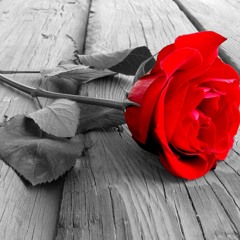 For You (Prod. by CxM)