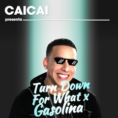 Turn Down For What x Gasolina (Mashup)
