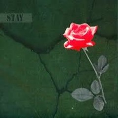 静夢 -shizumu- Last Version（Single「STAY」C/W）1998