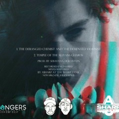 $trange Colors "Temple Of The Mayans" Prod. Sebastian Hochstein